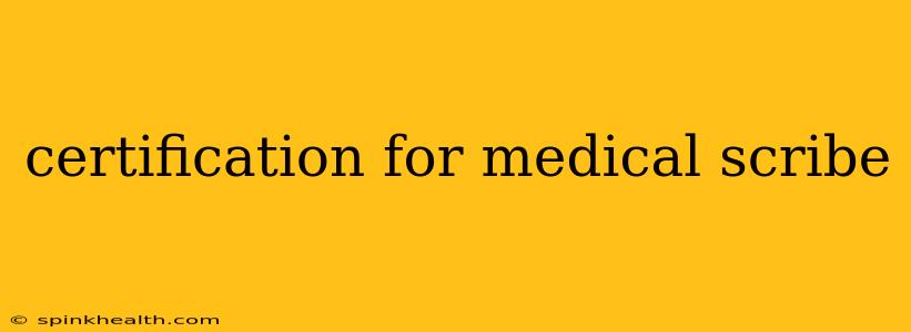 certification for medical scribe