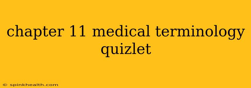 chapter 11 medical terminology quizlet