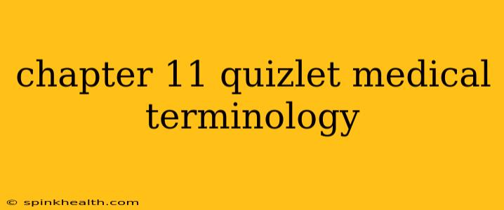 chapter 11 quizlet medical terminology