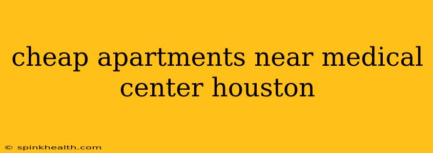 cheap apartments near medical center houston