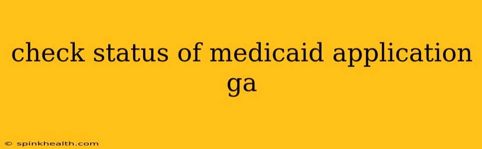 check status of medicaid application ga