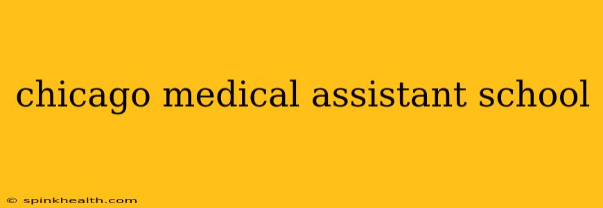chicago medical assistant school