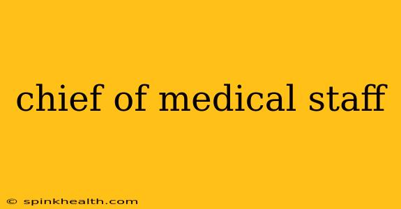 chief of medical staff