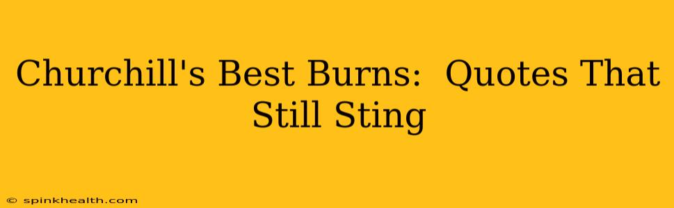 Churchill's Best Burns:  Quotes That Still Sting