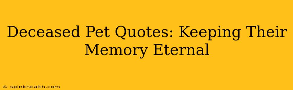 Deceased Pet Quotes: Keeping Their Memory Eternal