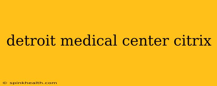 detroit medical center citrix