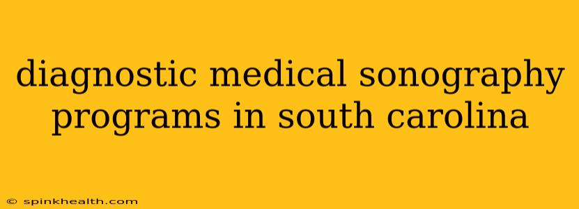 diagnostic medical sonography programs in south carolina