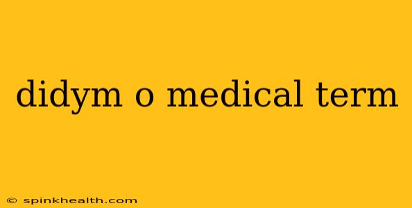 didym o medical term