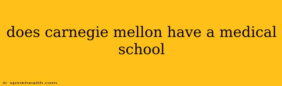 does carnegie mellon have a medical school