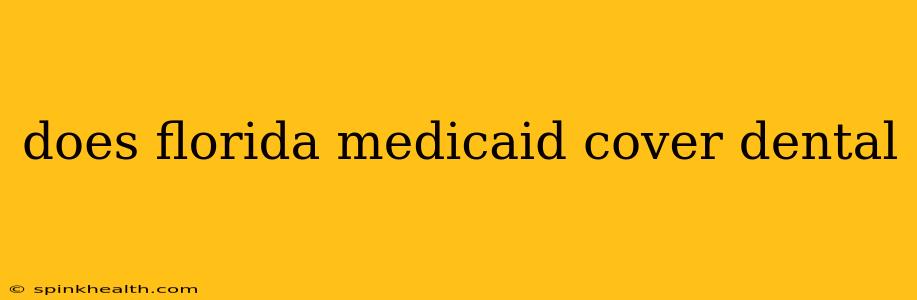 does florida medicaid cover dental