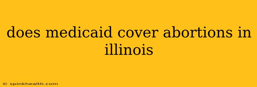 does medicaid cover abortions in illinois