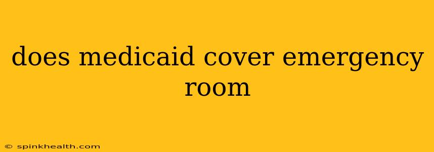 does medicaid cover emergency room