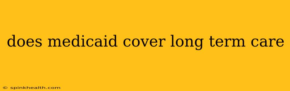 does medicaid cover long term care