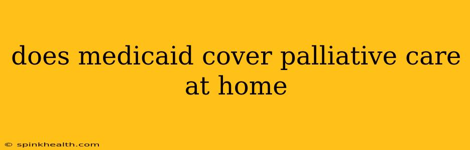 does medicaid cover palliative care at home