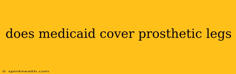does medicaid cover prosthetic legs