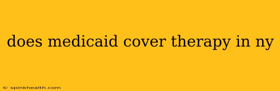 does medicaid cover therapy in ny