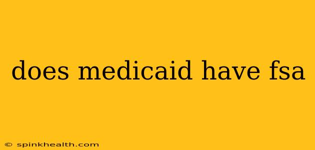 does medicaid have fsa