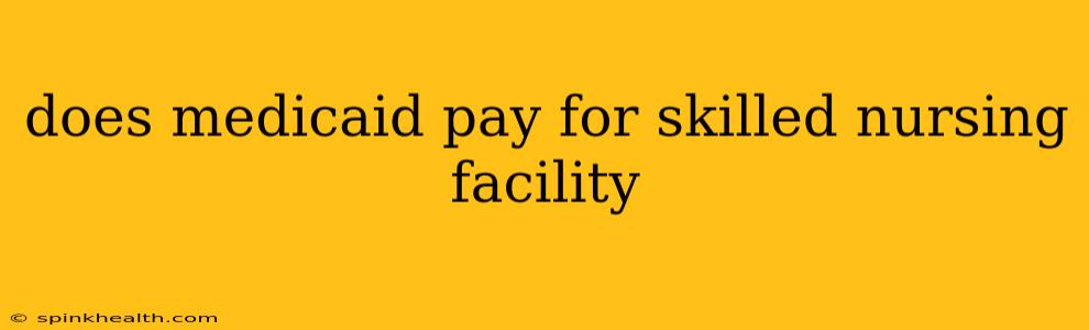 does medicaid pay for skilled nursing facility