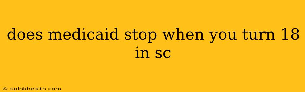 does medicaid stop when you turn 18 in sc