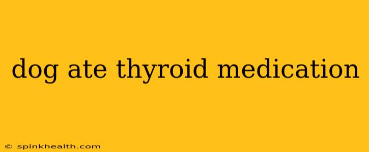 dog ate thyroid medication