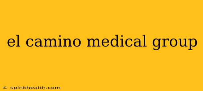 el camino medical group