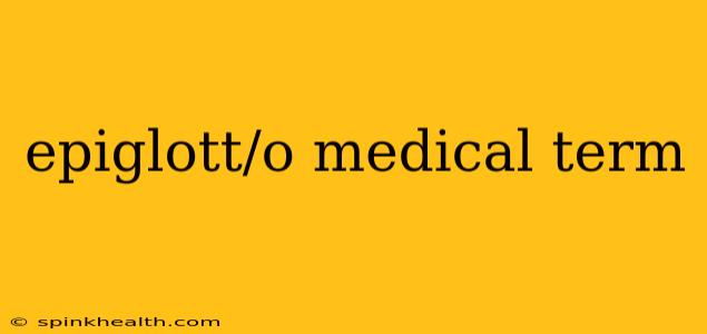 epiglott/o medical term