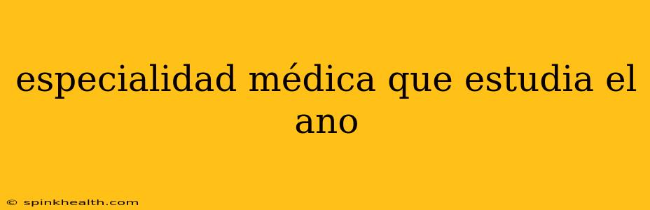 especialidad médica que estudia el ano