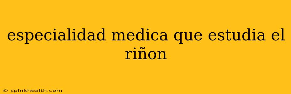 especialidad medica que estudia el riñon