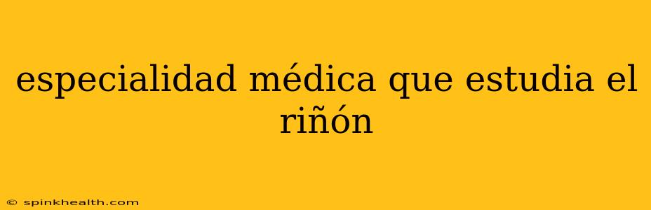 especialidad médica que estudia el riñón