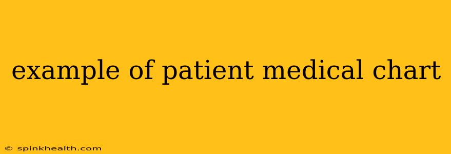example of patient medical chart