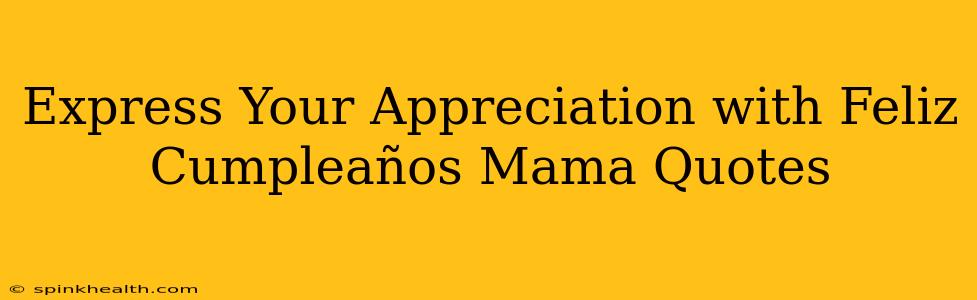 Express Your Appreciation with Feliz Cumpleaños Mama Quotes
