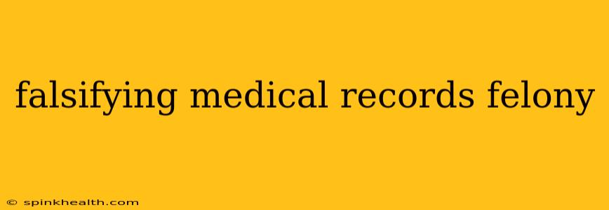falsifying medical records felony