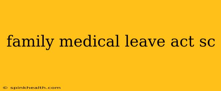 family medical leave act sc
