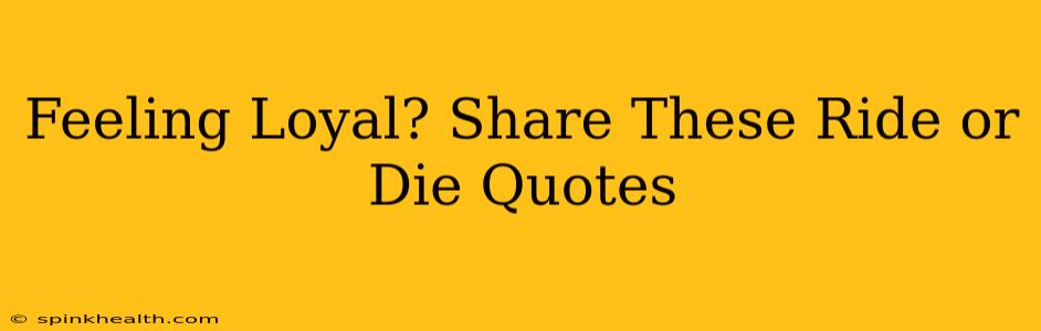 Feeling Loyal? Share These Ride or Die Quotes