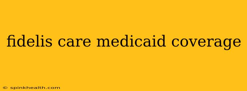 fidelis care medicaid coverage