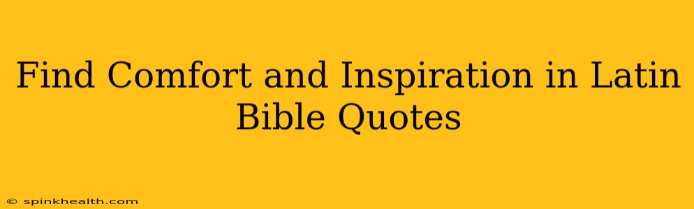 Find Comfort and Inspiration in Latin Bible Quotes