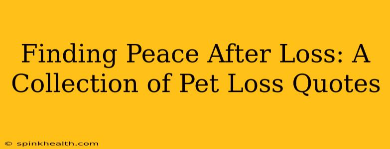 Finding Peace After Loss: A Collection of Pet Loss Quotes