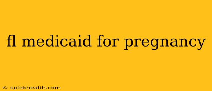 fl medicaid for pregnancy