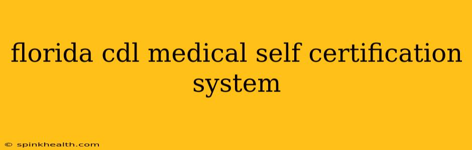 florida cdl medical self certification system