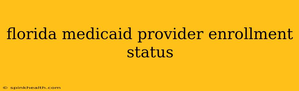 florida medicaid provider enrollment status