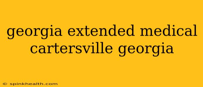 georgia extended medical cartersville georgia