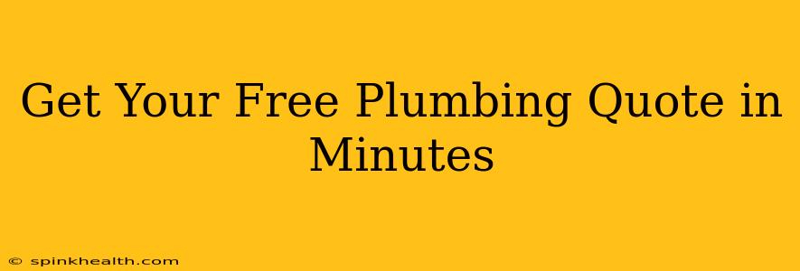 Get Your Free Plumbing Quote in Minutes