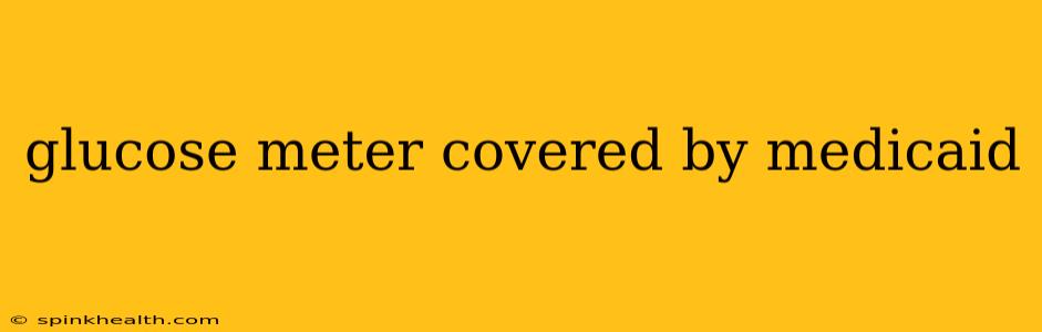 glucose meter covered by medicaid