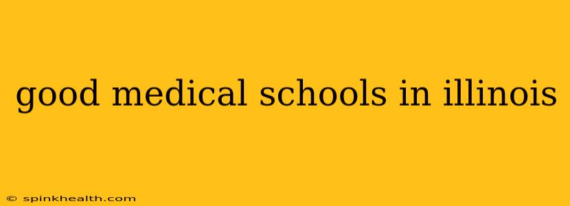 good medical schools in illinois