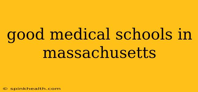 good medical schools in massachusetts
