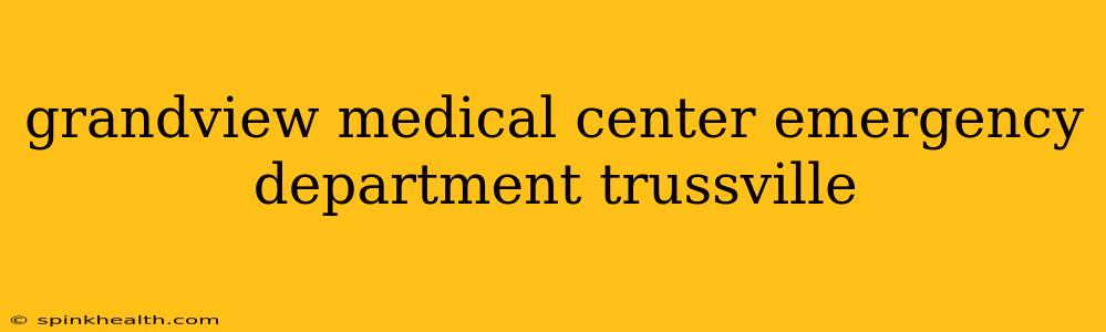 grandview medical center emergency department trussville