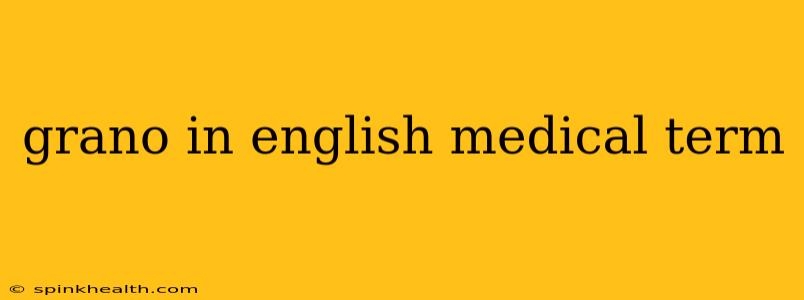 grano in english medical term