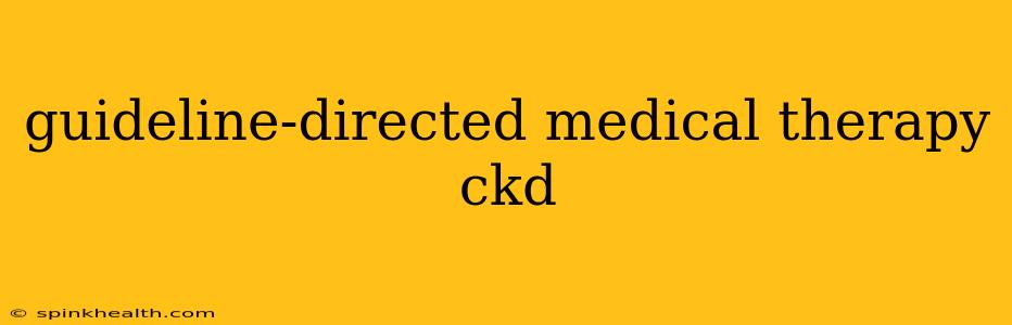 guideline-directed medical therapy ckd
