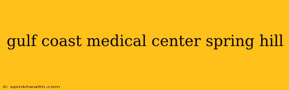 gulf coast medical center spring hill