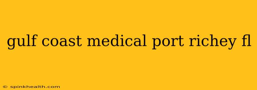 gulf coast medical port richey fl